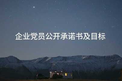 企业党员公开承诺书及目标