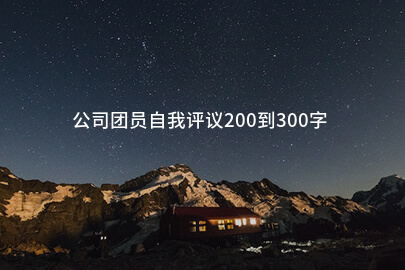 公司团员自我评议200到300字