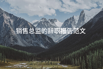 销售总监的辞职报告范文