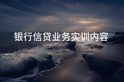 银行信贷业务实训内容
