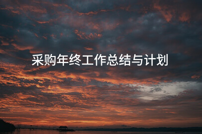 采购年终工作总结与计划