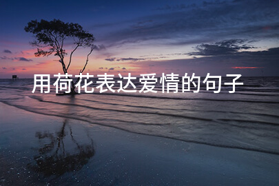 用荷花表达爱情的句子