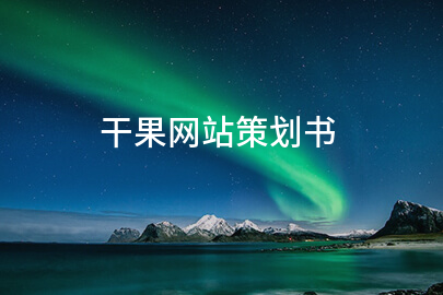 干果网站策划书