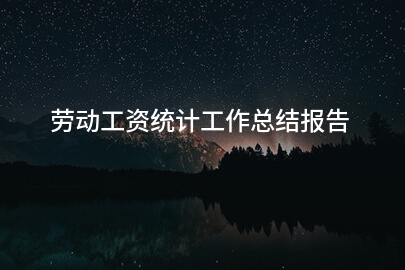 劳动工资统计工作总结报告