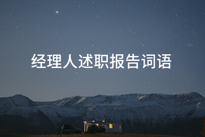 经理人述职报告词语