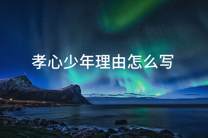 孝心少年理由怎么写