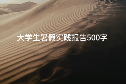 大学生暑假实践报告500字