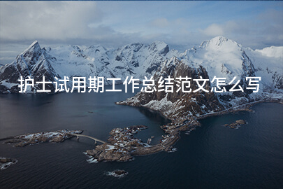 护士试用期工作总结范文怎么写