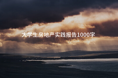 大学生房地产实践报告1000字