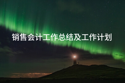 销售会计工作总结及工作计划