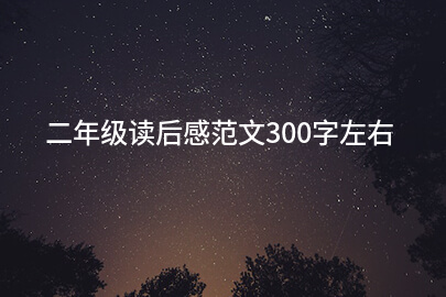 二年级读后感范文300字左右