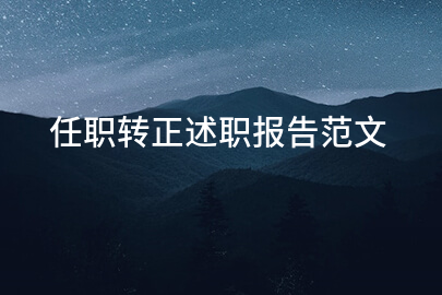 任职转正述职报告范文