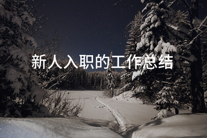 新人入职的工作总结