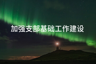 加强支部基础工作建设