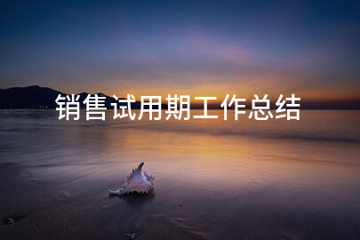 销售试用期工作总结