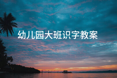 幼儿园大班识字教案