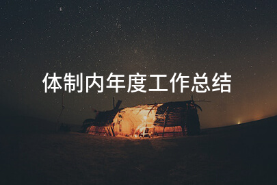 体制内年度工作总结