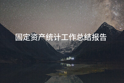 固定资产统计工作总结报告