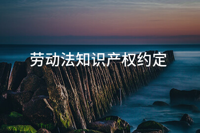 劳动法知识产权约定