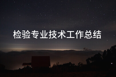 检验专业技术工作总结