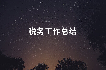 税务工作总结