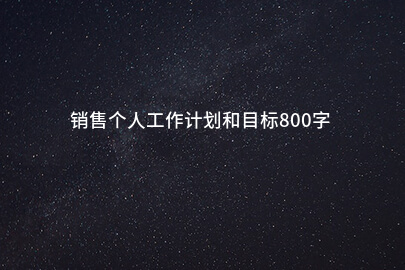 销售个人工作计划和目标800字