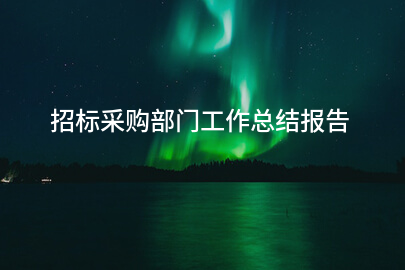 招标采购部门工作总结报告