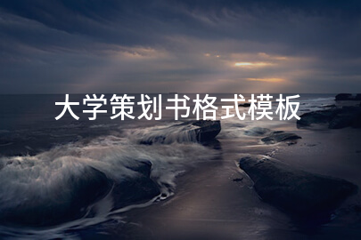 大学策划书格式模板