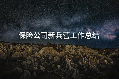 保险公司新兵营工作总结