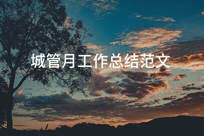 城管月工作总结范文