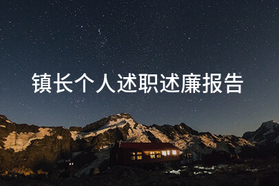 镇长个人述职述廉报告
