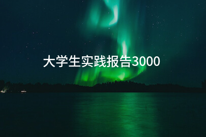 大学生实践报告3000