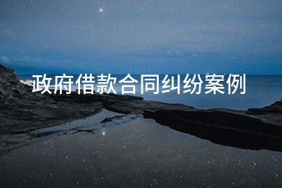 政府借款合同纠纷案例