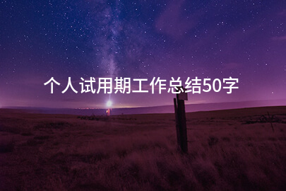个人试用期工作总结50字