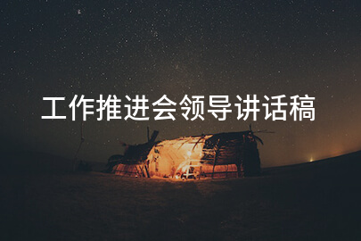工作推进会领导讲话稿