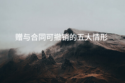 赠与合同可撤销的五大情形
