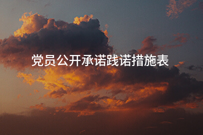 党员公开承诺践诺措施表