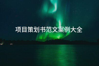 项目策划书范文案例大全
