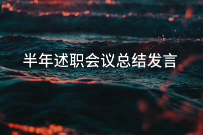 半年述职会议总结发言