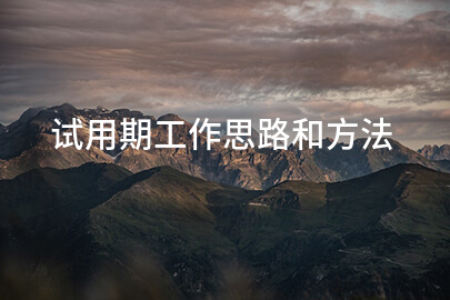 试用期工作思路和方法