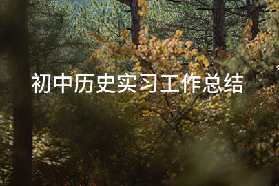 初中历史实习工作总结