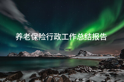 养老保险行政工作总结报告