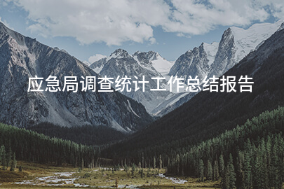 应急局调查统计工作总结报告