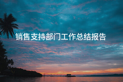 销售支持部门工作总结报告