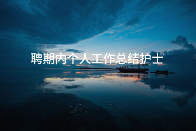 聘期内个人工作总结护士