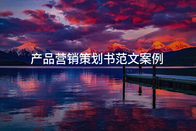 产品营销策划书范文案例