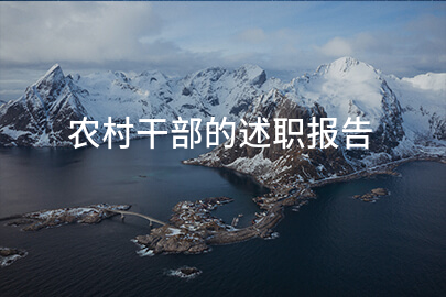 农村干部的述职报告
