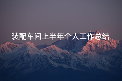 装配车间上半年个人工作总结