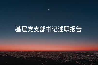 基层党支部书记述职报告