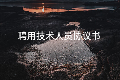 聘用技术人员协议书